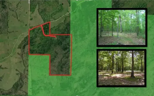 Private Retreat Borders Nat’l Forest on 3 Sides for Sale, 135 Ac.
