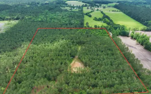 16‑Acre Homesite & Recreational Tract East of Linden, TX