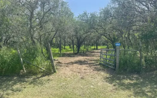 3 Acres with Oaks Trees & Well Near Skidmore, TX