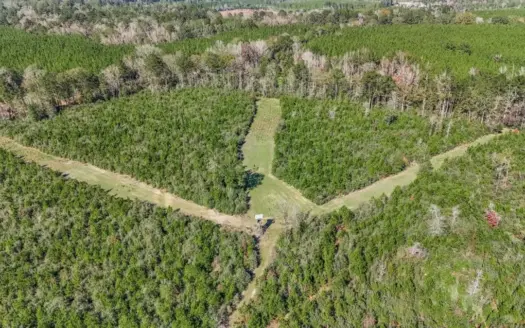 Hunting Land For Sale in Amite County MS