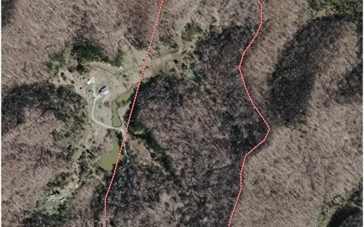 90+/- Wooded Acreage-Great Hunting-Gas Well-Gray Kentucky