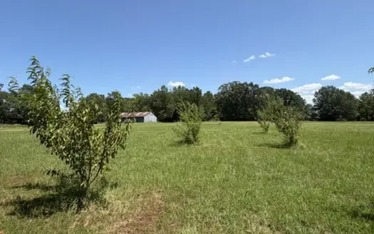 Hunting Land with Acreage for Sale in Mount Pleasant, Texas