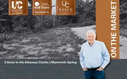 5 Acres in the Arkansas Ozarks | Mammoth Spring