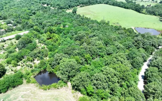 Fully Wooded 10.68 Acres Near the National Forest