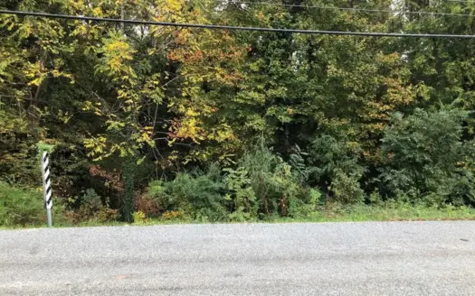 Investment Opportunity In Clarksville, VA