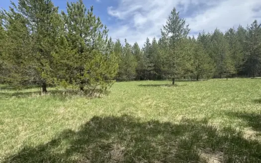 Building Lot for Sale- Land in Orofino, Idaho