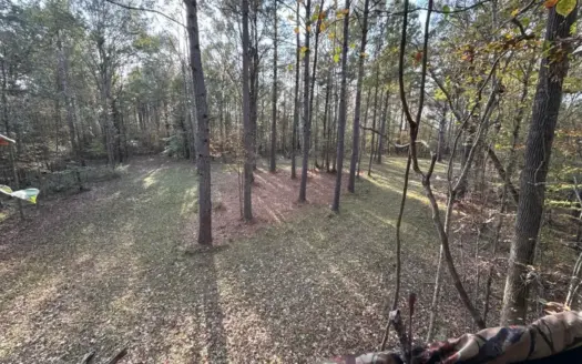 98± Acres in Natchez, MS on Second Creek