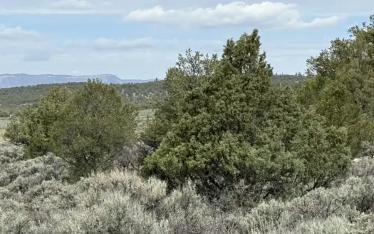Enjoy peaceful privacy, wildlife and views!