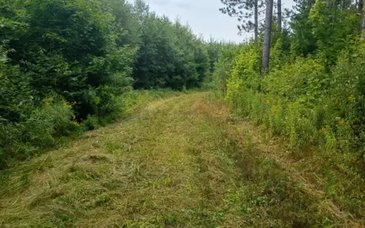 280 ± Acres Near Butternut Lake, WI Recreational Land