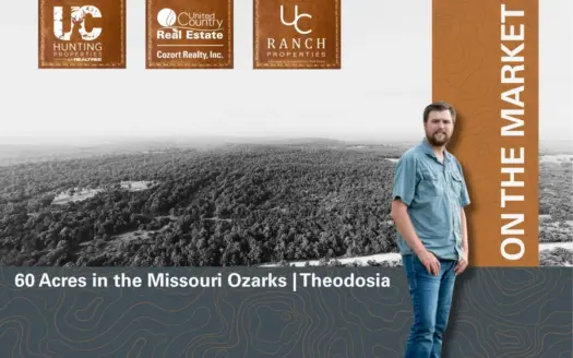 Prime Hunting Land in the Missouri Ozarks | Theodosia