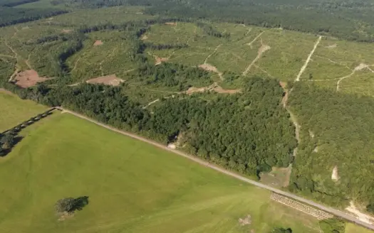 50± Acre Homesite & Hunting Land in Plainview, LA