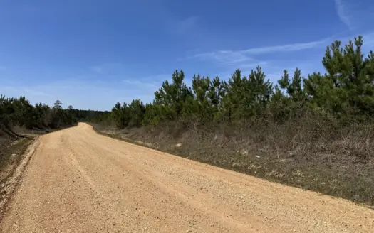 Drew County Timber Investment Property for Sale!