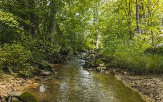 162.33 Surveyed Acres in Hancock County, Tennessee