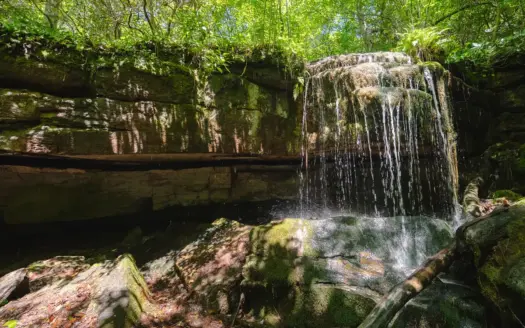 Recreational Property for Sale in Elliston VA