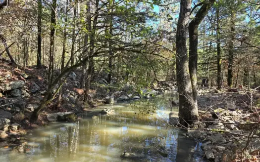 Poteau Mountain Recreational Property – Adjoining National Forest