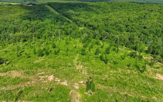 7.24 Acres Near Mountain View in Southern Missouri Ozarks