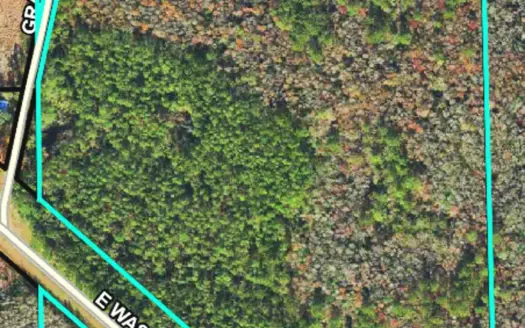 37 Acres, Aucilla River Hunting Tract Near Monticello. Fl.