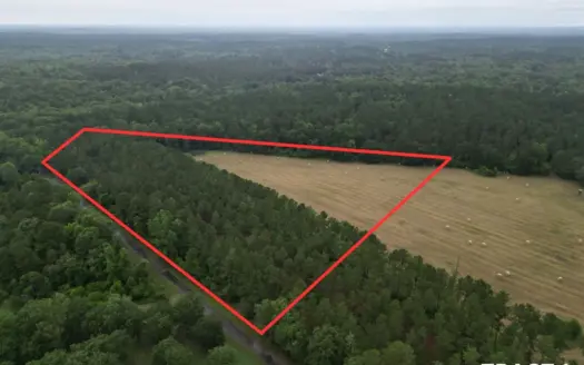 East Texas Land For Sale in McLeod, Texas
