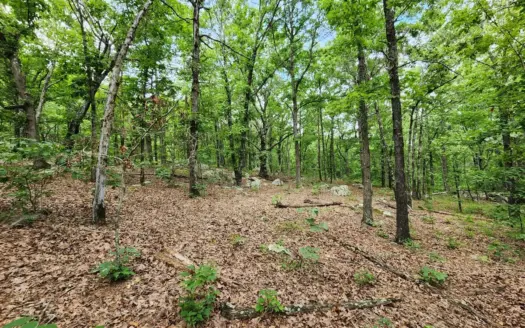 Winding Stair Mountain Recreational Property