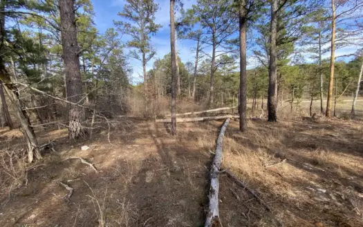 Land For Sale In North Central Arkansas
