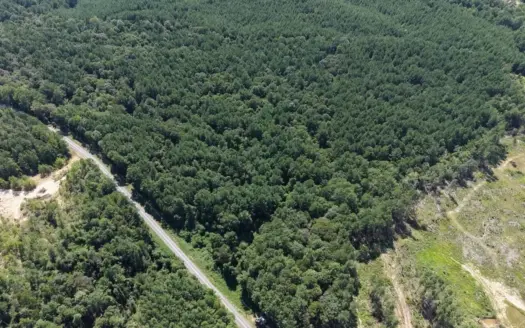 32± Acre Wooded Tract in McCall Creek, MS