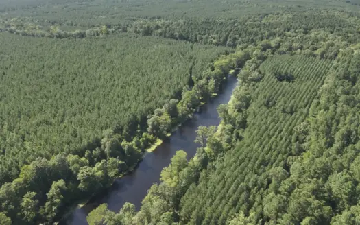 Pine Land near Camden, AR W/ Creek W/Pond W/ County Road for Sale