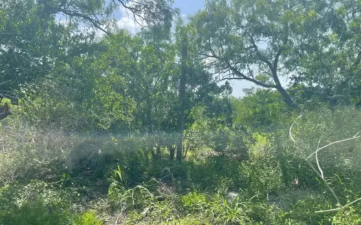 2 Acres with Well & Utilities Near Skidmore, TX