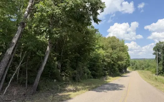 Land For Sale In Tn, 11.6 Acres+/- In Mcnairy County, Tn