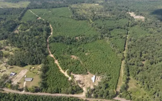 85± Acre Turnkey Hunting Property in Amite County, MS