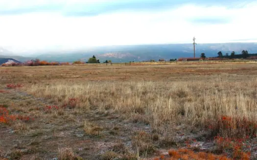 Irrigated Land with Mountain Views for Sale in Northern NM