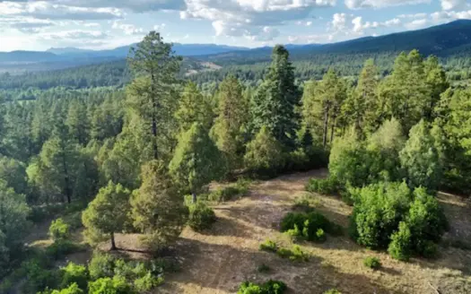 Northern New Mexico Mountain Property Near Chama NM