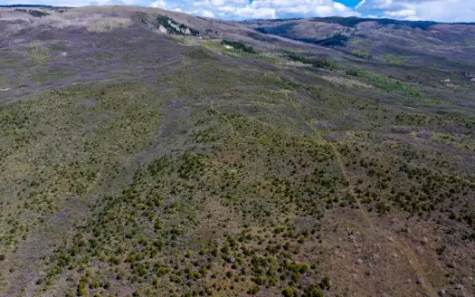 35± Acre Off-Grid Mountain Parcel NW of Cedaredge, CO – High Park