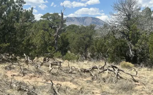 Mountain Land Property for Sale Near Walsenburg Colorado