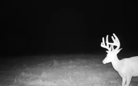Excellent Coffey County Kansas Hunting & Build Site