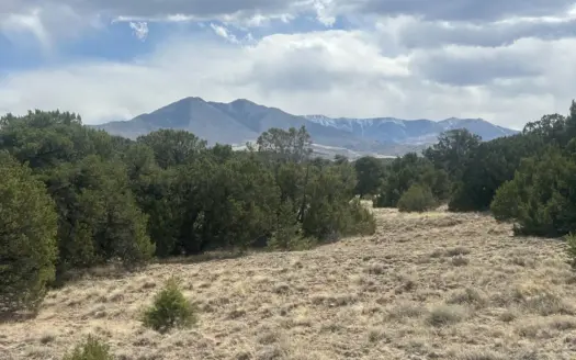 Colorado Mountain Property near Gardner with Views