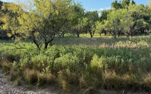 6.15 Acres for Sale in Brownwood, TX – City Water & A-1 Zoning