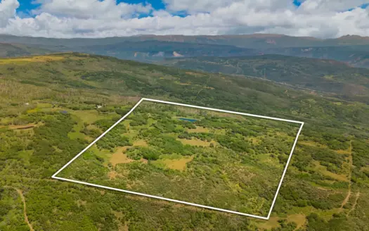40 Acres Off-Grid Hunting Land | Roatcap Rd, Paonia CO