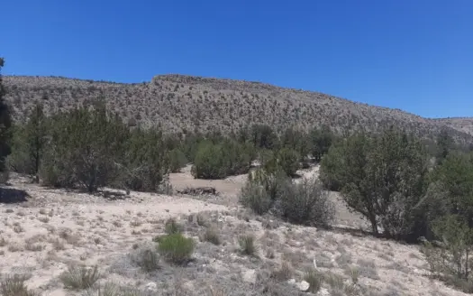 Nestled in at the base of a huge Mesa this Northern AZ property