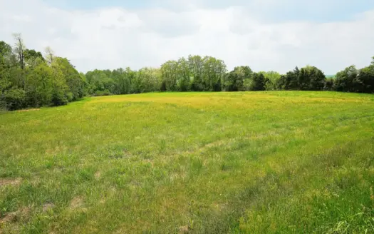 Hobby Farm, Pasture, Homesites, Hunting, Woods