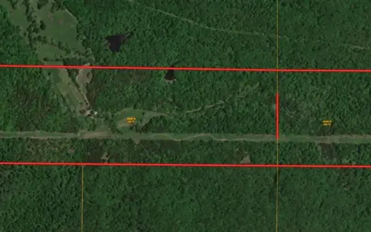 Ultimate Deer & Turkey Hunting 1 Hour West of St. Louis