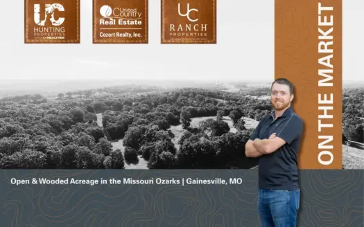 Open & Wooded Acreage in the Missouri Ozarks | Gainesville, MO
