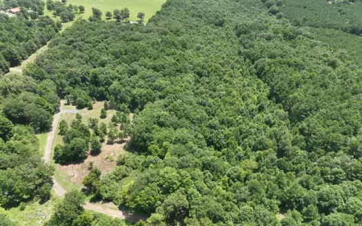 Timber Land & Wooded Acreage for Sale Near Atlanta, Texas