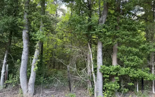 Land For Sale In Tn, 6.22 Acres+/- In Mcnairy County, Tn