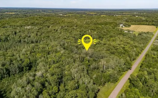 80 Acres of Recreational/Building Land For Sale in Moose Lake, MN