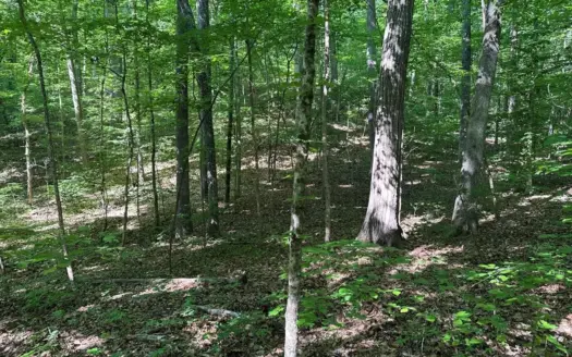 Private Perch: 1.3 Acres Near Clarksville & Bluestone VA