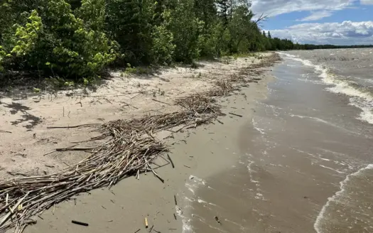 Upper Red Lake Lakefront Lot for Sale Near Waskish w/Sandy Beach