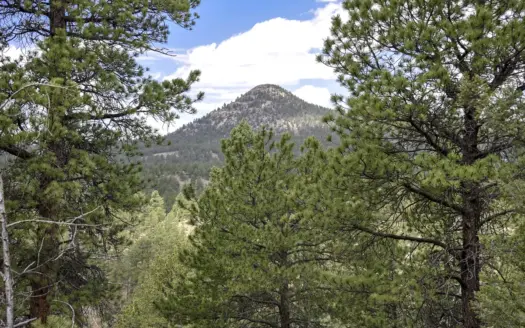 4+ Acre Colorado Mountain Land for Sale in Florissant