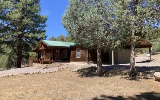 Well Maintained Cabin At Heron Lake Near Chama