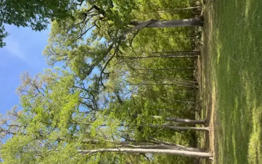 Buildable River Front Paradise for Sale