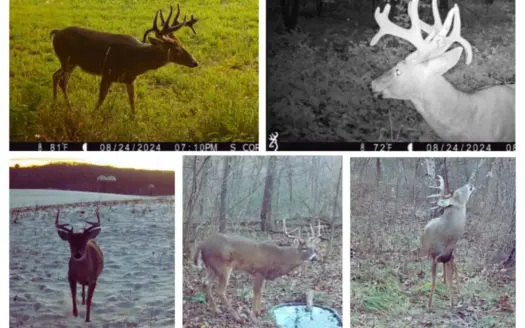 The Blue Mounds 32 — A Private Whitetail Hunting Retreat in Iowa
